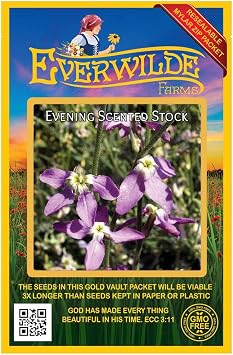 Everwilde Farms - 1000 Evening Scented Stock Wildflower Seeds - Gold Vault Jumbo Seed Packet