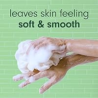 Vista 4 de Softsoap Jabón corporal de eucalipto y menta, gel de baño hidratante, 20 onzas, (paquete de 4)