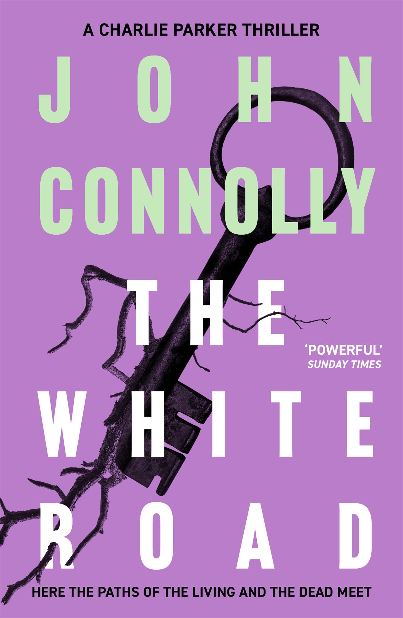 The White Road: Private Investigator Charlie Parker takes on evil in the fourth novel in the globally bestselling series (Charlie Parker Thriller)