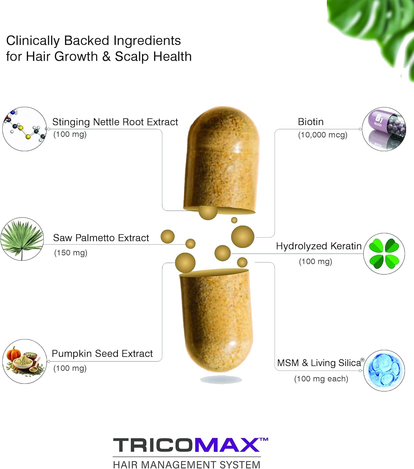 Hair Growth Vitamins for Women & Men - Biotin, Keratin & Saw Palmetto Hair Supplements - Stop Hair Loss & Thinning - Best Hair Pills for Faster Growth, Stronger Nails & Skin Health 120 Tablets - Image 2