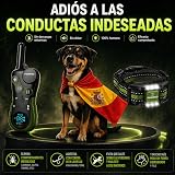 Ver la foto 3