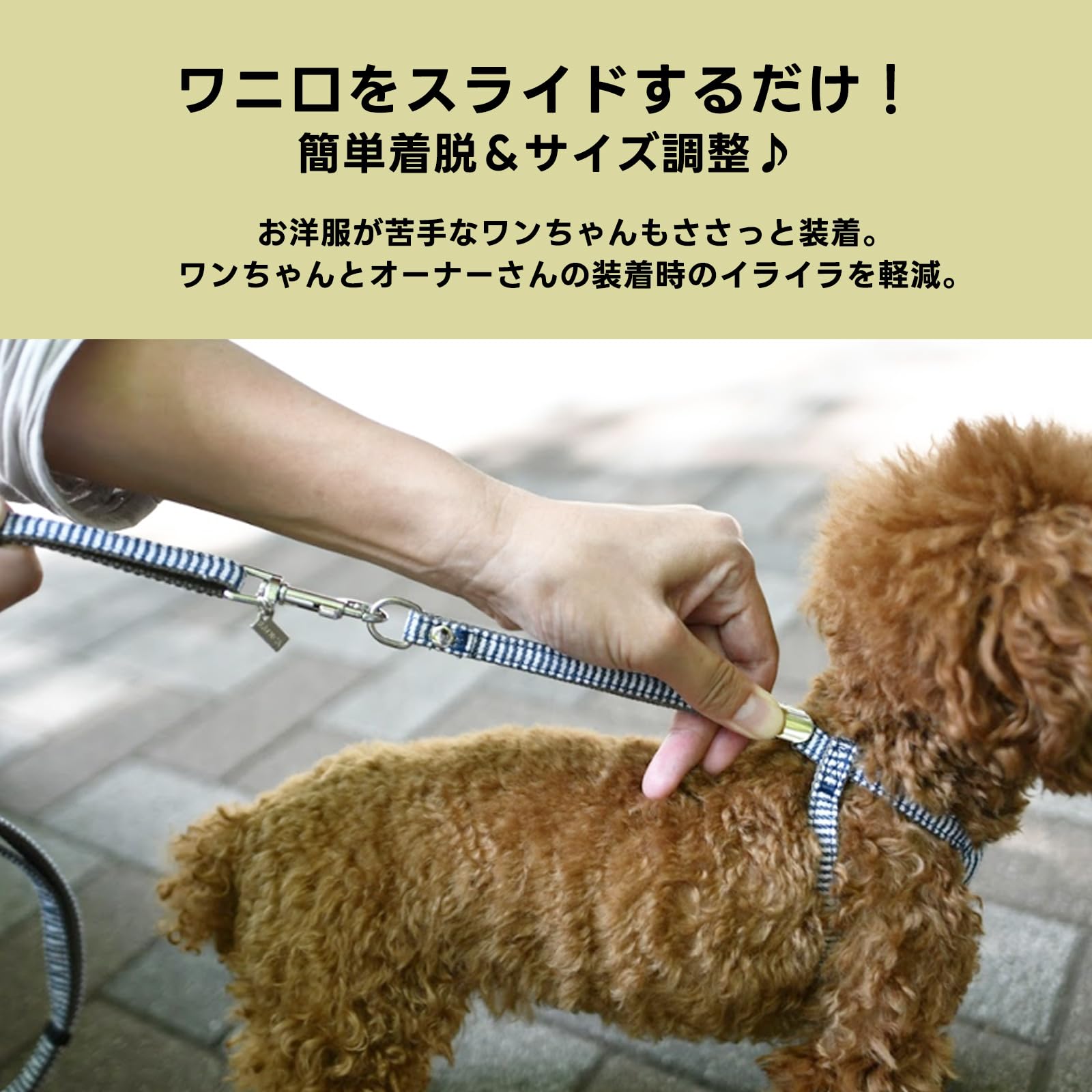 Amazon | [RADICA] ○ ラディカ 犬 クラシックハーネス＆リード
