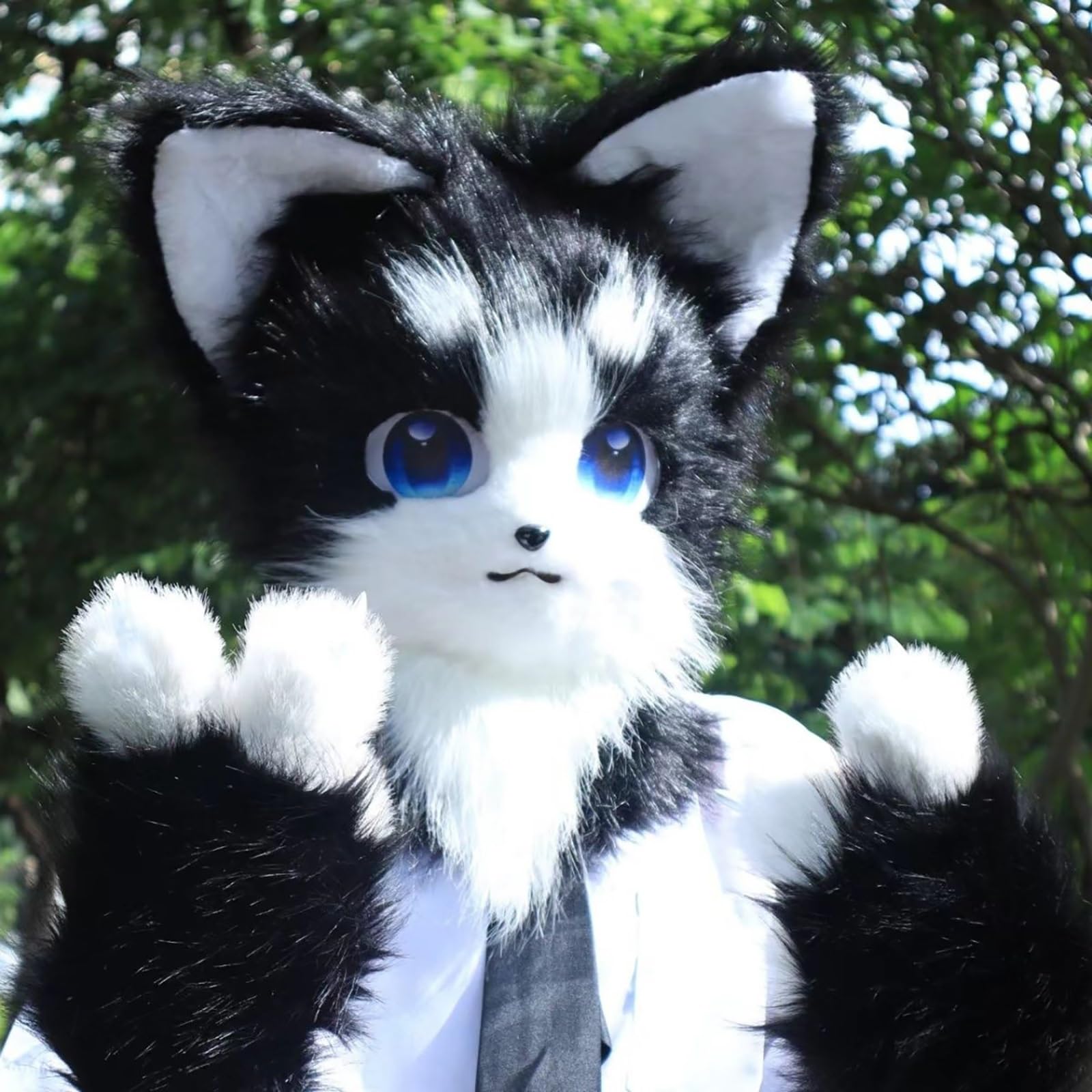 View 6