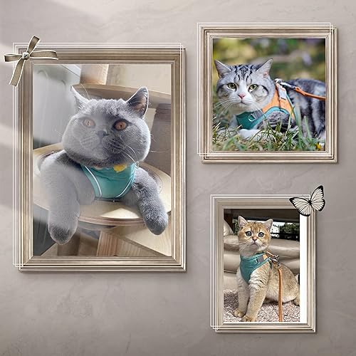 Miniatura 2 de Juego de arnés y correa para gatos para caminar, a prueba de escape, chaleco ajustable para gatitos con tira reflectante para gatos, perros