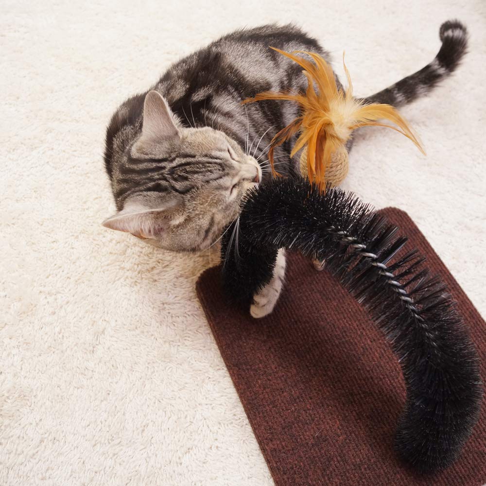 Amazon | キャティーマン (CattyMan) モダンルーム 毛づくろいブラシ