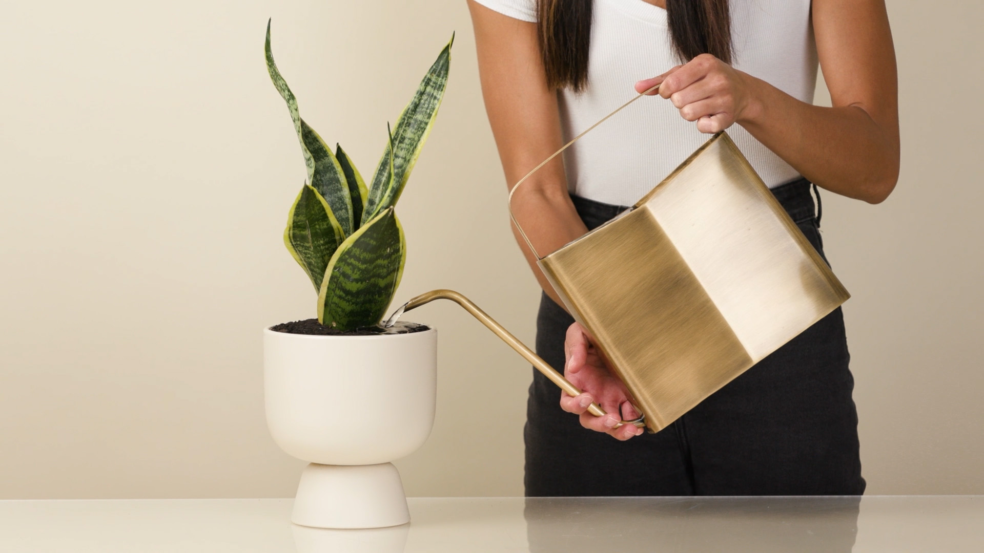 Arrosoir 35oz/1L à Long Bec En Plastique - Mini Arrosoir De Jardin Pour Plantes Dinterieur Et Dexterieur Succulentes Fleurs Vert 87522841