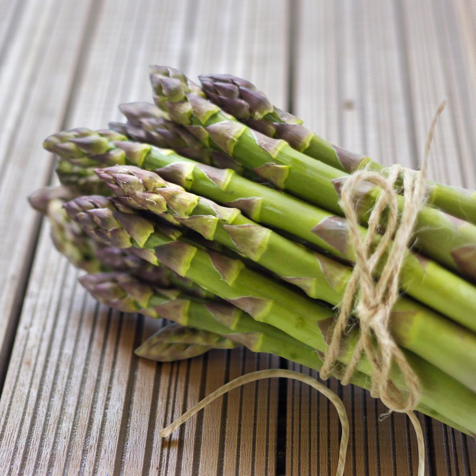 Carbeth Plants Asparagus Crown Roots for Planting - Premium Quality Easy Grow Vegetable Perennials - Quick Establishment & High Yielding Spears for Kitchen Gardens & Allotments (1, Backlim)