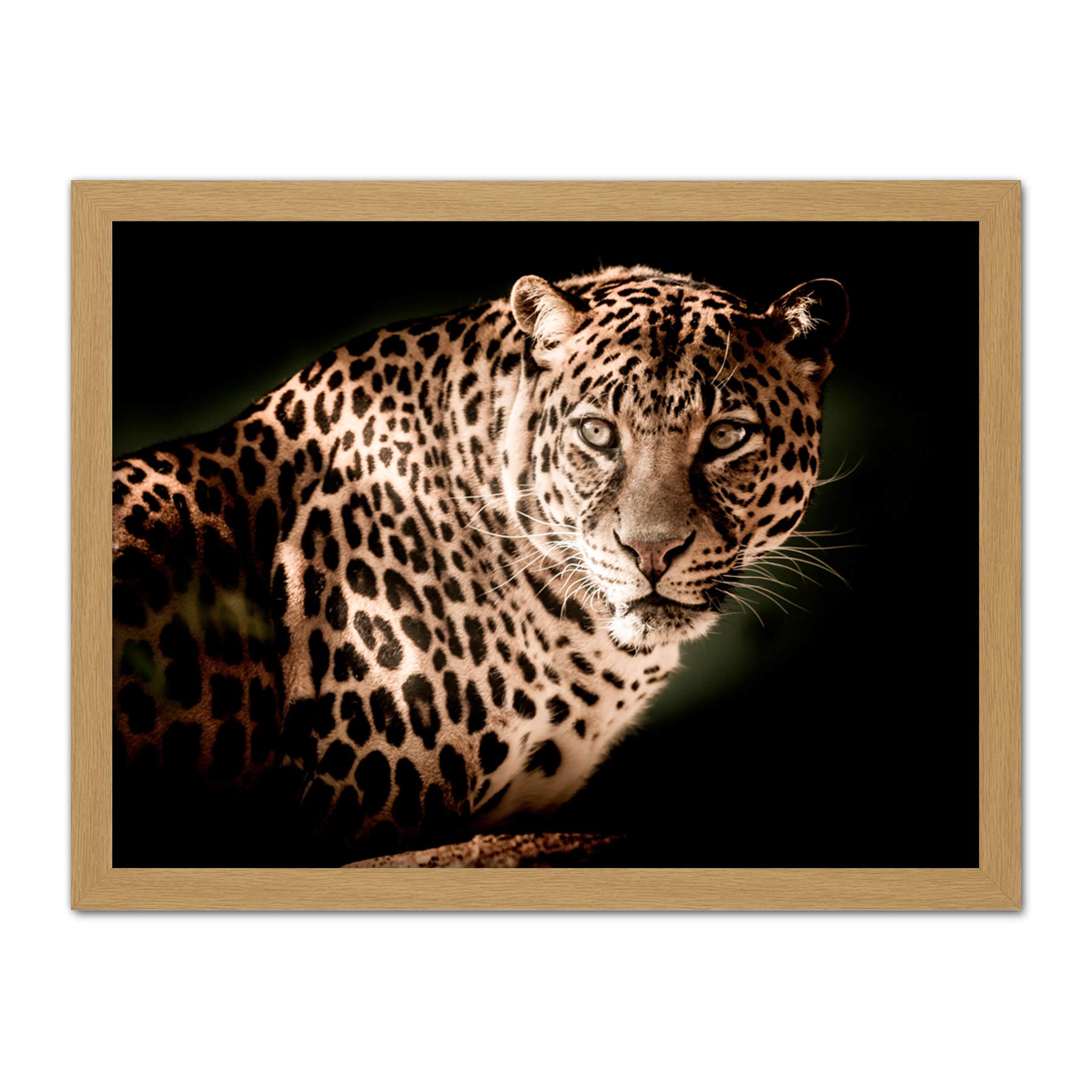 Artery8 Leopard Big Cat Spots Photo Artwork Framed Wall Art Print 18X24 Inch