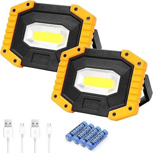 T-SUN Luz de trabajo LED recargable, 30W 2000LM portátil, impermeable, paquete de 2