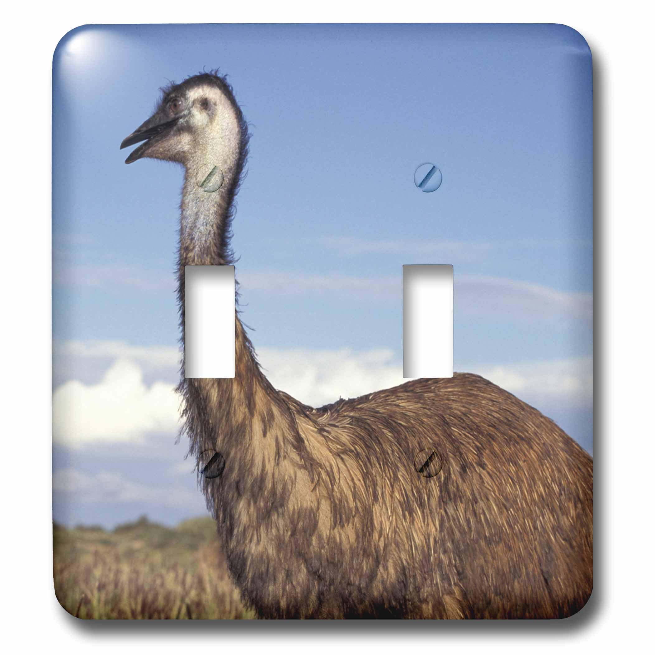 Interrupteur double Australie Emu pour salon et bureau nature