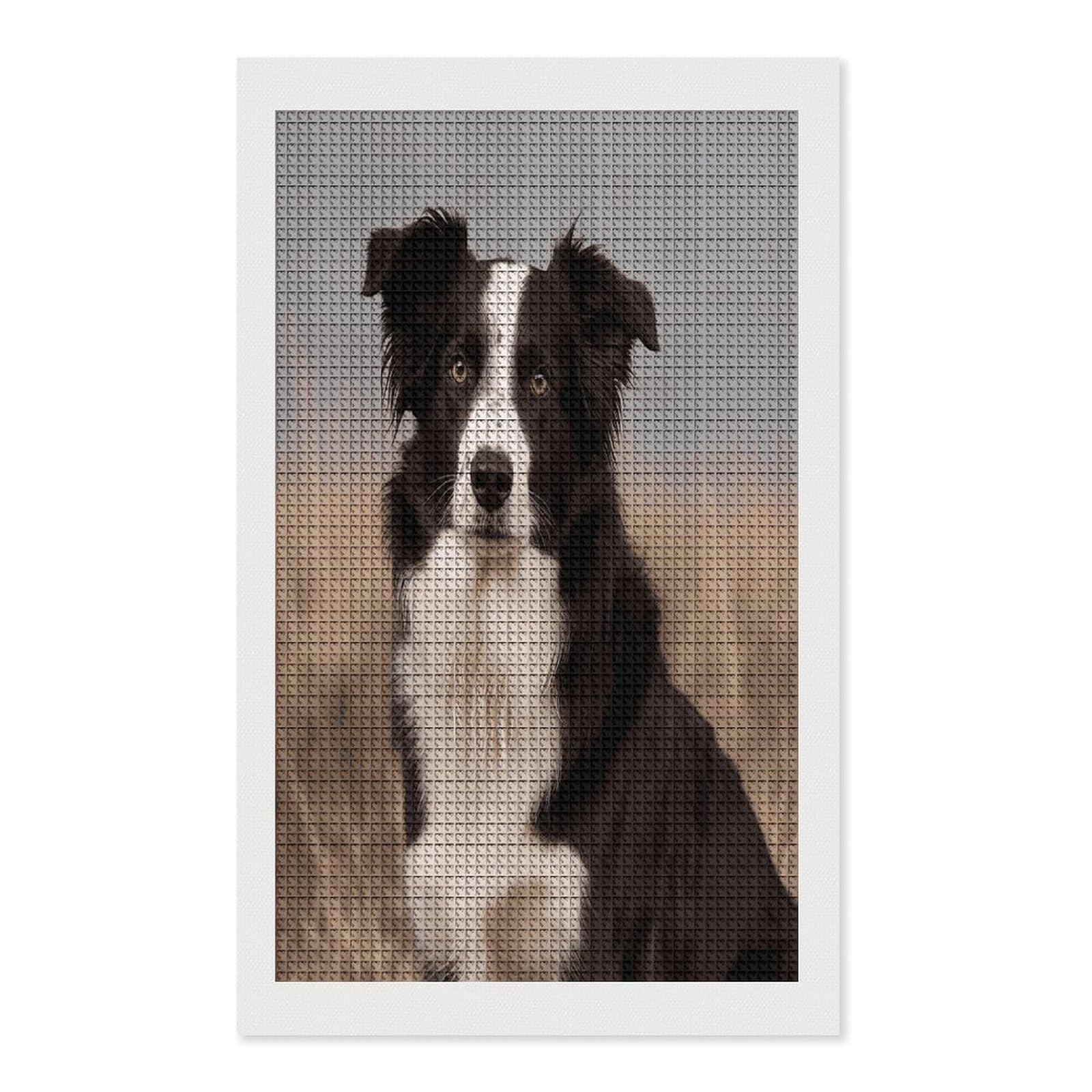 FodPand Border Collie Diamond Painting Kit for Beginner Fun 5D DIY Crafts for Adults Diamond Art Kits Square Diamond Art Canvas Painting Gem Art Crafts for Home Wall Decor 12"x20"