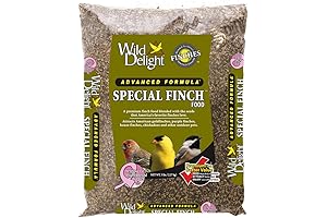Special Finch Food, 5 lb - black oil sunflower, thistle, safflowers, &...