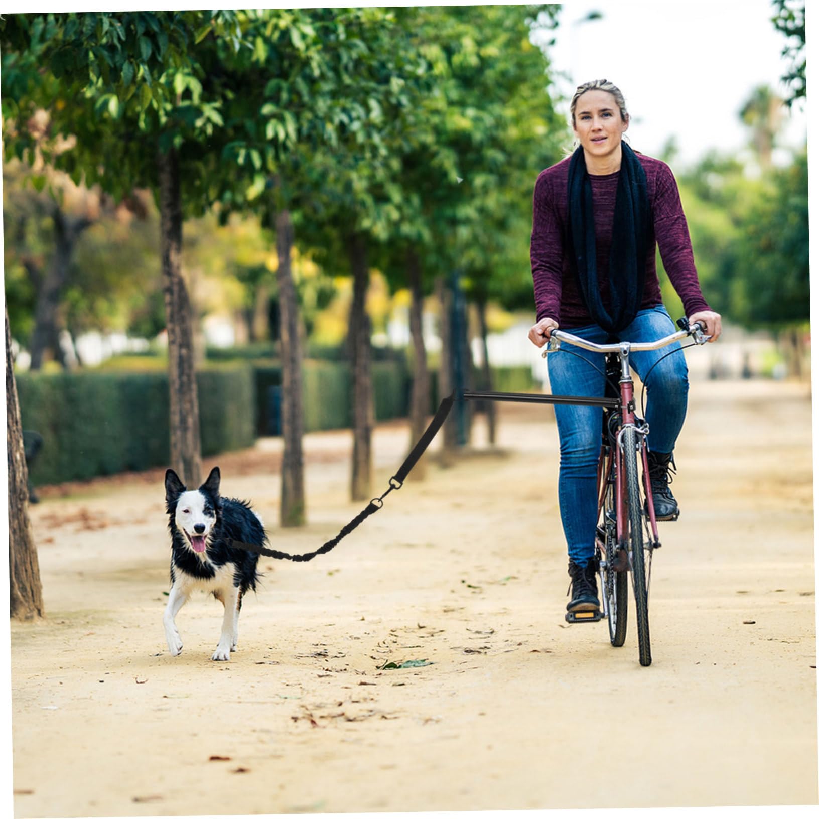 Laisse pour Chien à Fixer Vélo, Corde de Traction Noire