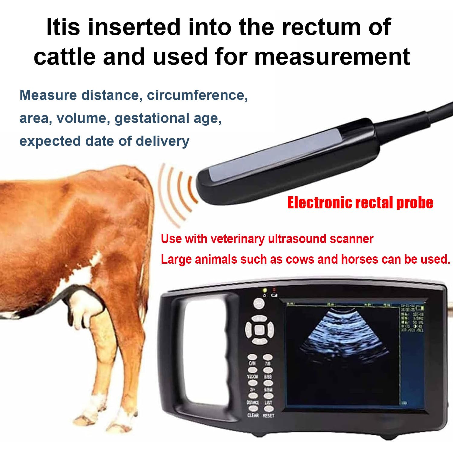 Qiang Scanner Ecografico Veterinario Portatile per Controllo Gravidanza Ecografo Veterinario con Sonda Rettale 6,5 ​​MHz E Touchscreen da 5,6" per Bovini,Cavalli Ed Equini