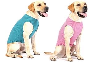 Large Dog Shirts for Pitbulls: Stay Cool and Comfortable in the Summer Heat