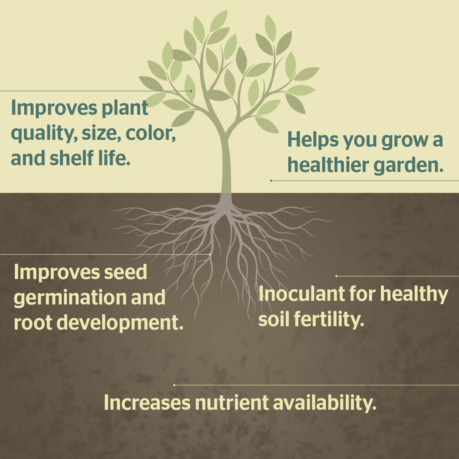 Buy SCD Probiotics ProBio Balance Plus Enhanced Probiotic Mother