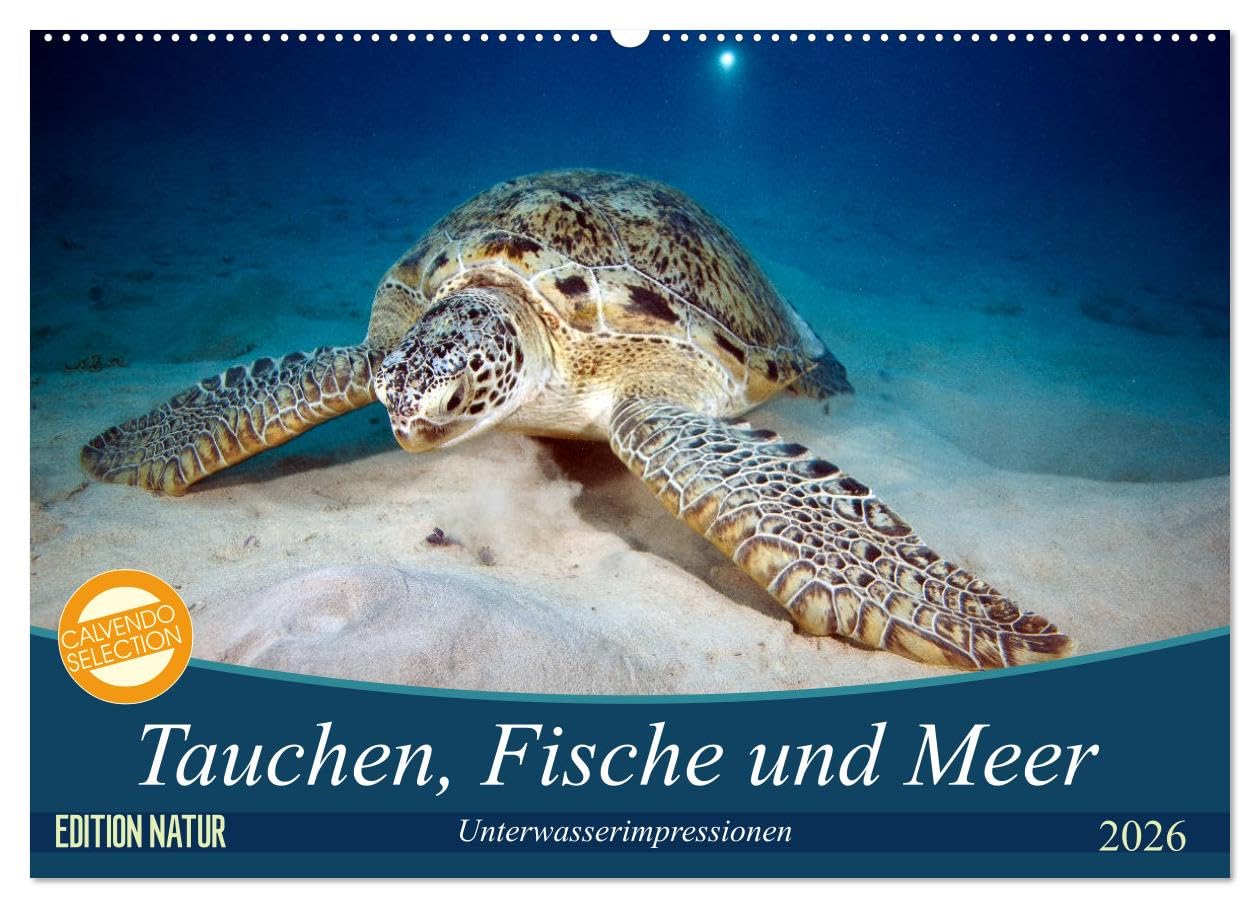 Tauchen, Fische und Meer (Wandkalender 2026 DIN A2 quer), CALVENDO Monatskalender: Unterwasserimpressionen