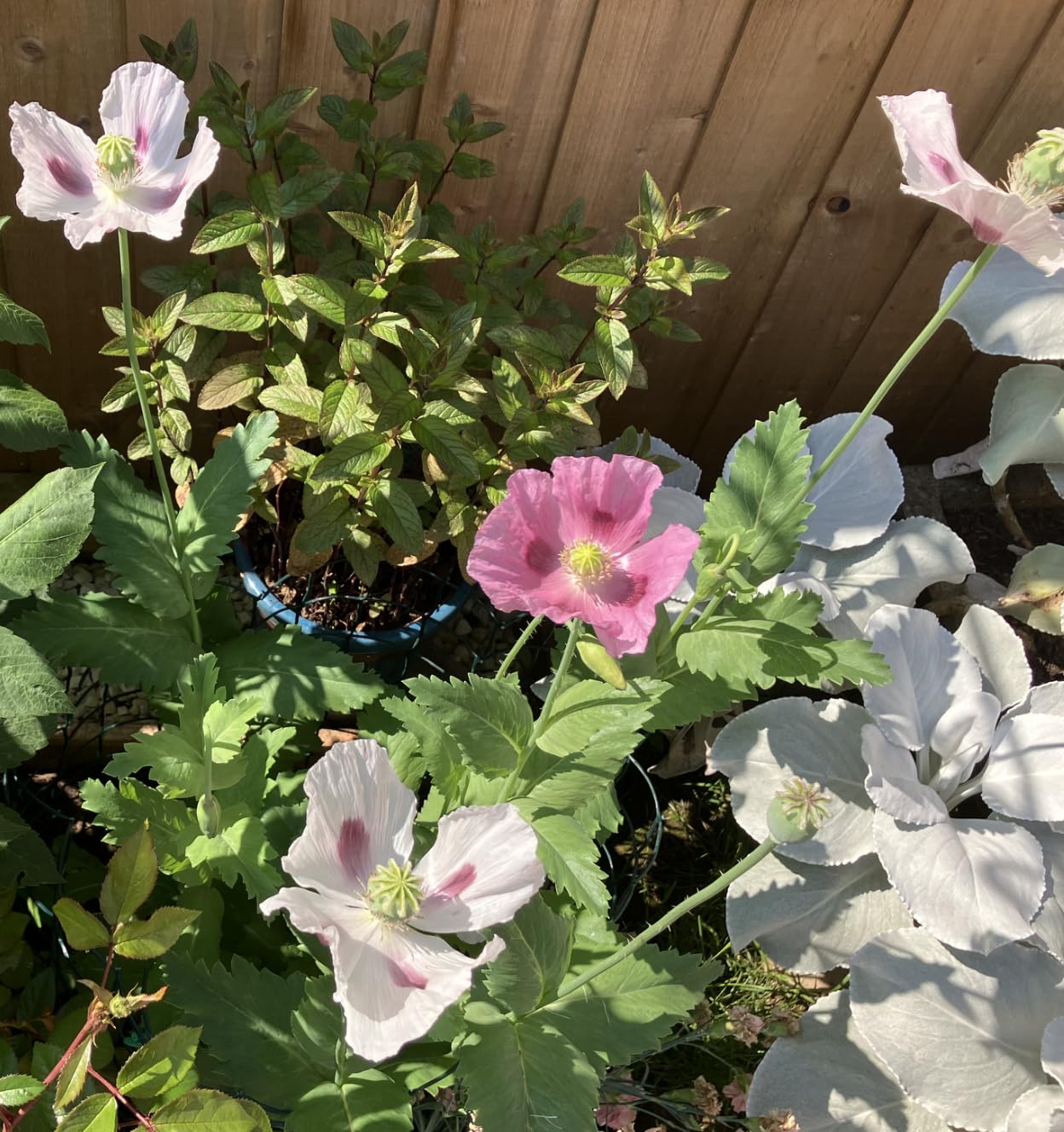 View 2