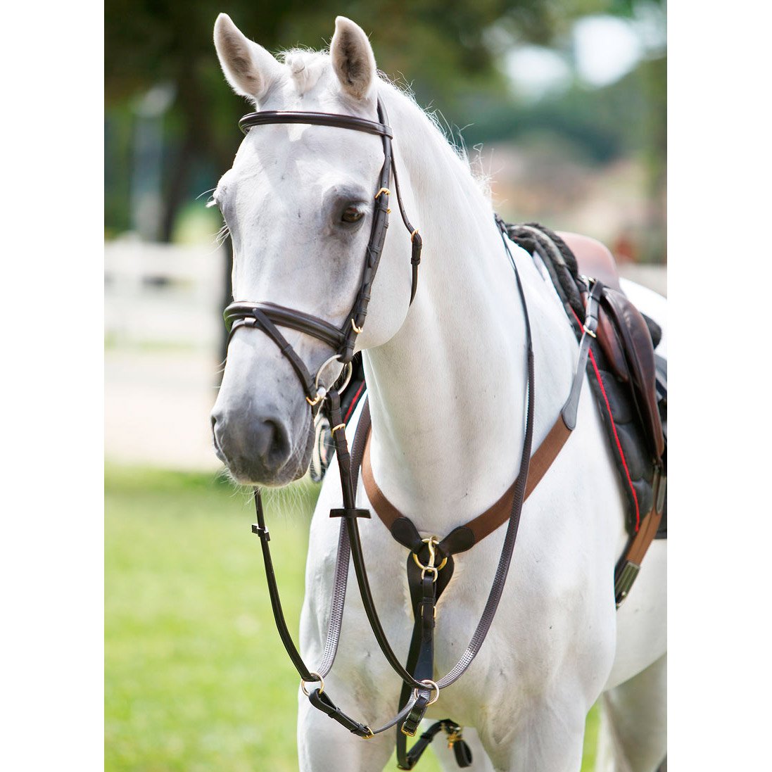 TATTINI Pechera con Martingale Y Eco