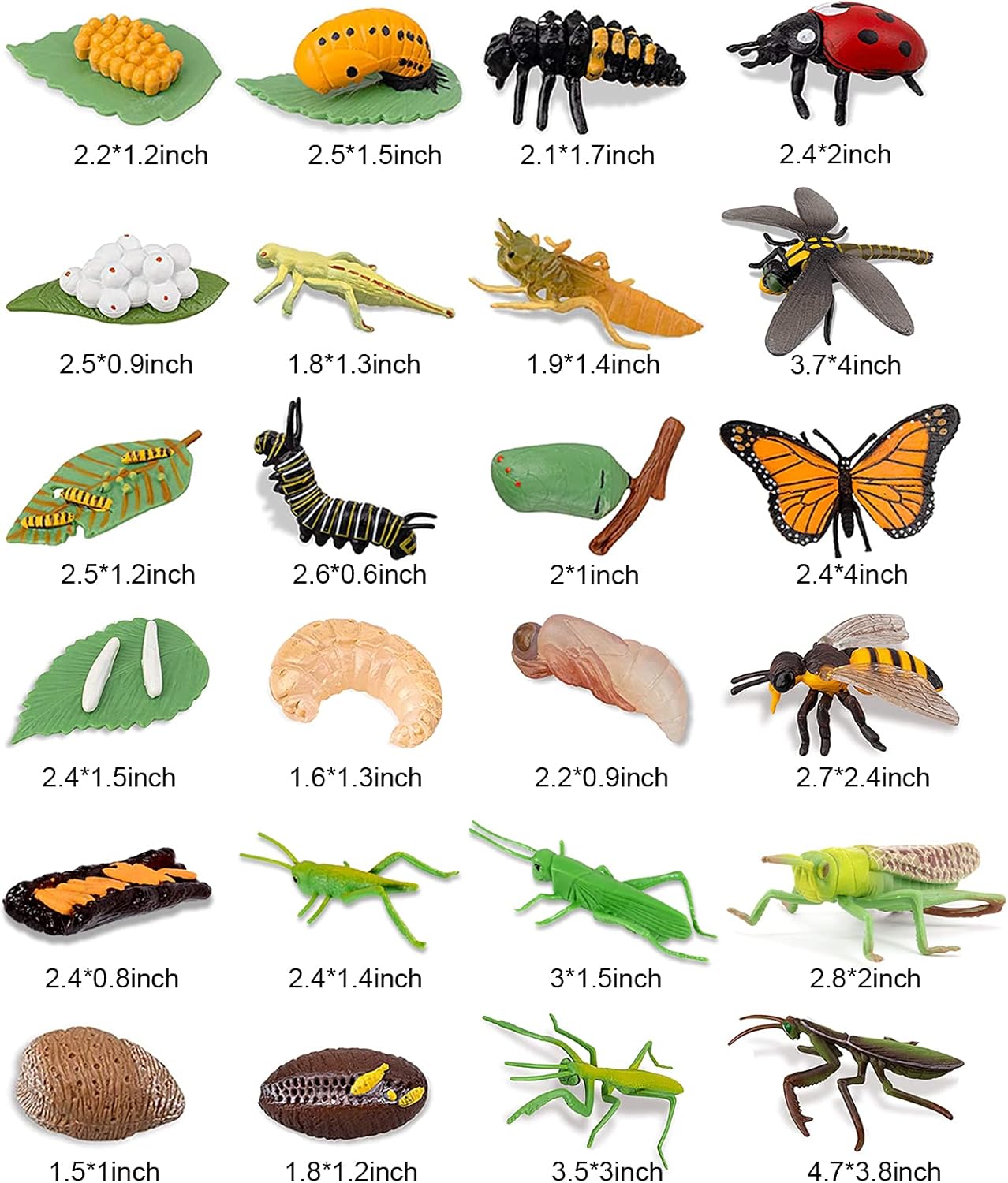 24PCS Life Cycle Figures,Insect Figurines Life Cycle of Monarch Butterfly,Honey Bee,Ladybug,Praying Mantis,Dragonfly,Grasshopper Bug Figures Kits