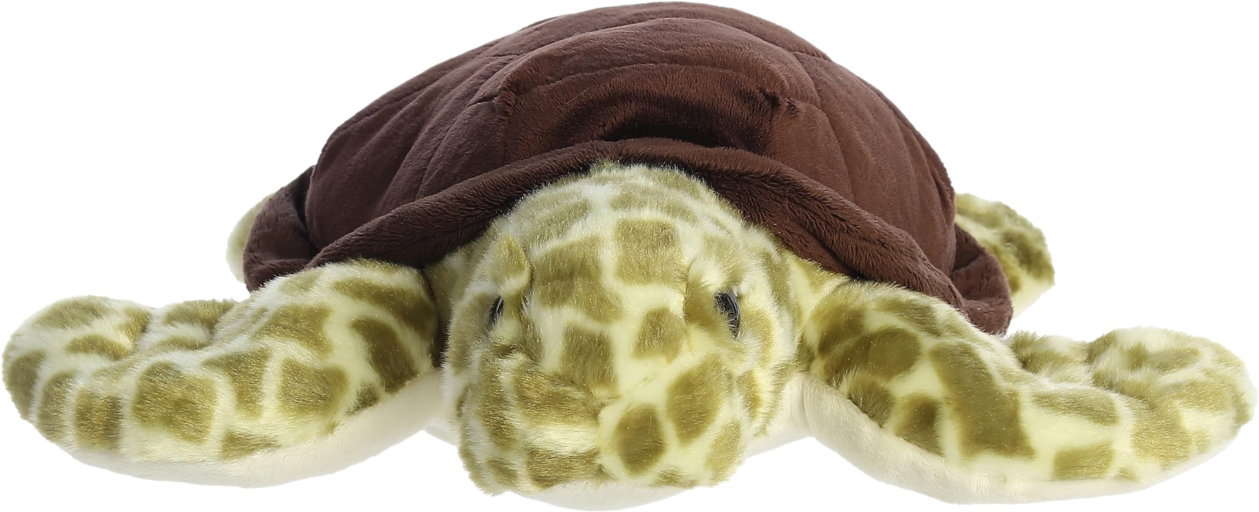 Aurora - Destination - 13" Sea Turtle - Image 2