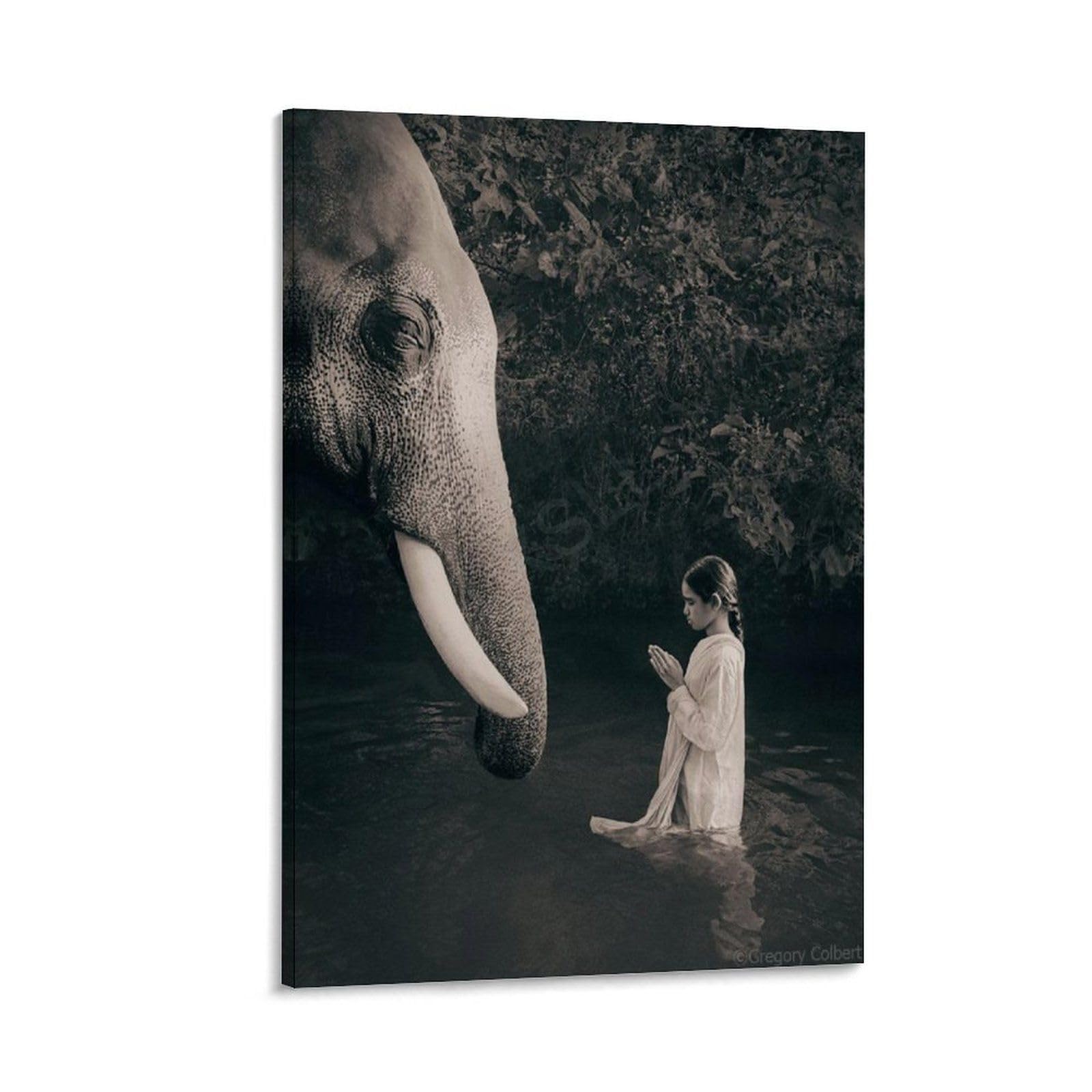 Gregory Colbert Classic Photography People And Animals Ashes And