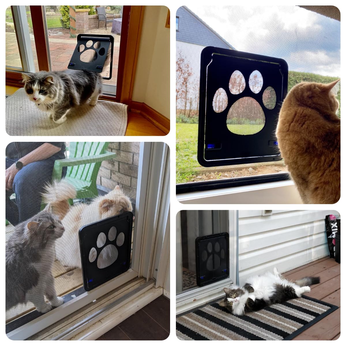 Clapet pour Porte moustiquaire - Moustiquaire pour Chat - avec Fermeture magnétique - Installation Facile - pour Chat et Chien (29 cm x 24 cm)