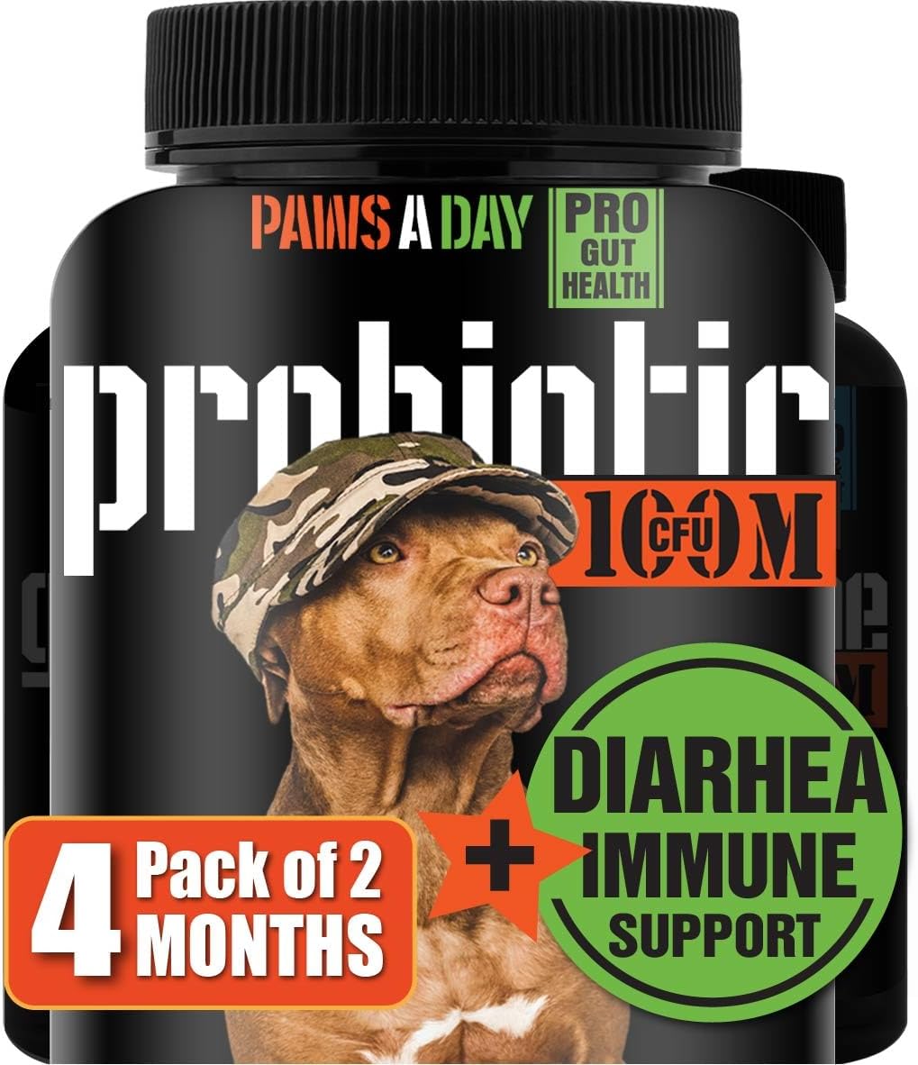 Stunning Canine Probiotic Foods For Dogs With Diarrhea image