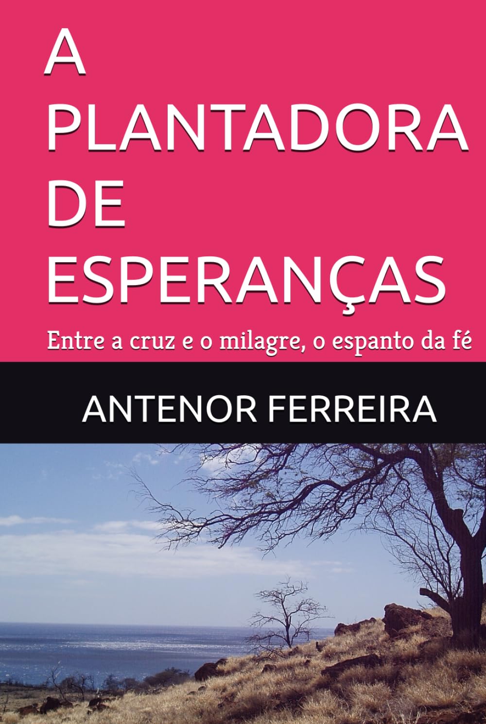 A PLANTADORA DE ESPERANÇAS: Entre a cruz e o milagre, o espanto da fé