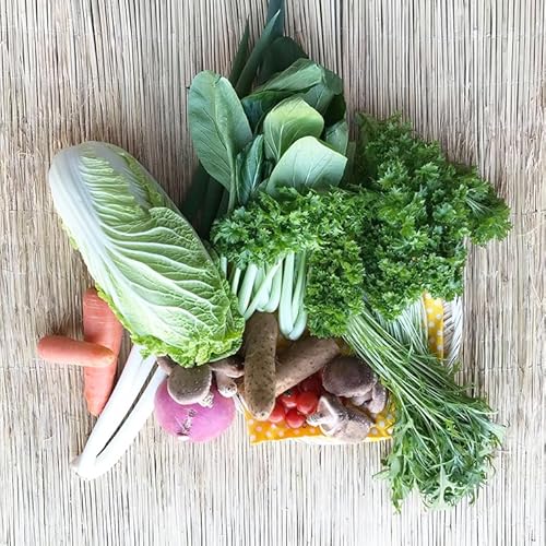 自然栽培野菜 10〜12品目[茨城県共通返礼品・鹿嶋市産・神栖市産・行方市産・潮来市産](KBE-111)