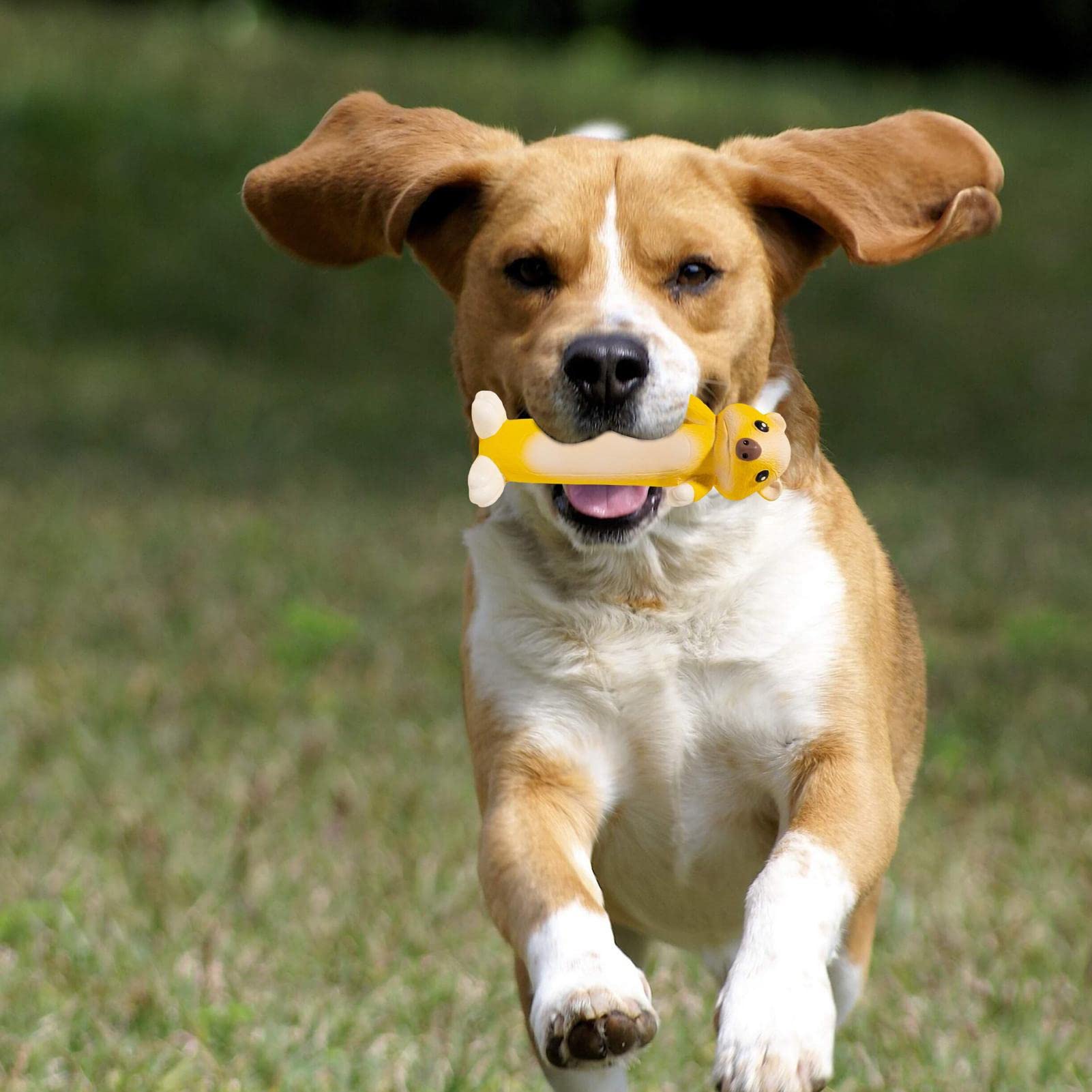Hondenspeelgoed Voor Grote Honden, Simulatieparende Hondenspeelgoed, Siliconen Ventilatie Sex Huisdierspeelgoed Voor Estrus Mannelijke Hond,Vagina off the ground,25