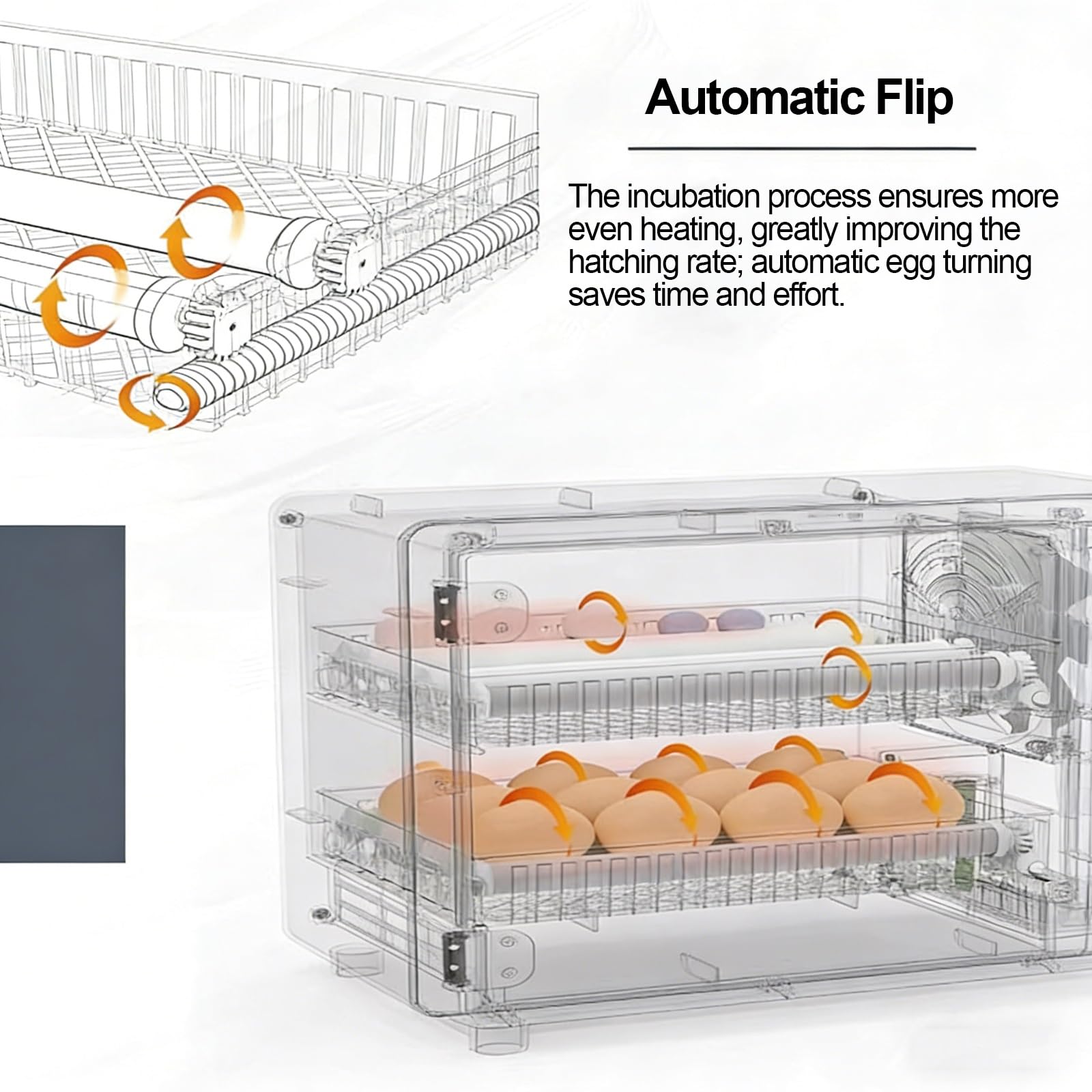 Incubadora de Huevos Automática, Eclosionadora Digital con Control de Temperatura y Humedad, para Gallina, Pato, Codorniz y Paloma(50 Eggs)