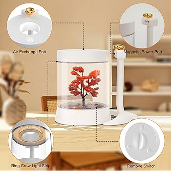 ✨人気商品✨FTOYIN 多肉植物 ナイトライト 快適なナイトライト Amazon.co.jp: FTOYIN 多肉植物 ナイトライト 快適なナイト