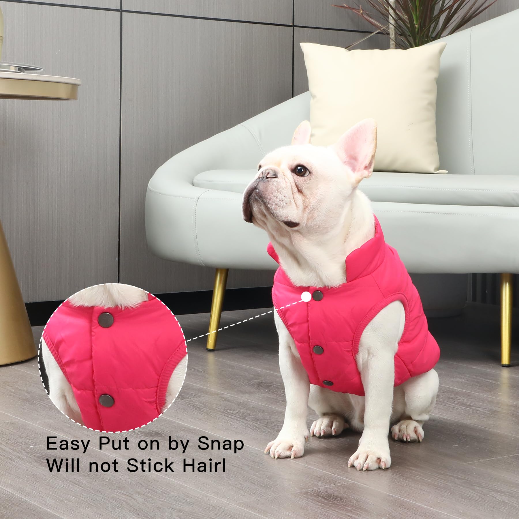 JoyDaog, giacca per cani, a 2 strati, foderata in pile, super calda e molto morbida, ideale per il freddo e per l’inverno, gilet antivento per cani