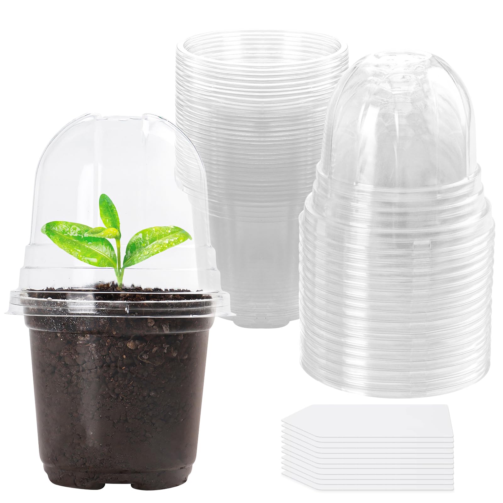HXUING Macetas transparentes para plantas, 10 macetas de cultivo + 10 cúpulas de humedad, macetas de plástico transparente para orquídeas redondas, para plantas suculentas, semillas, plantas de
