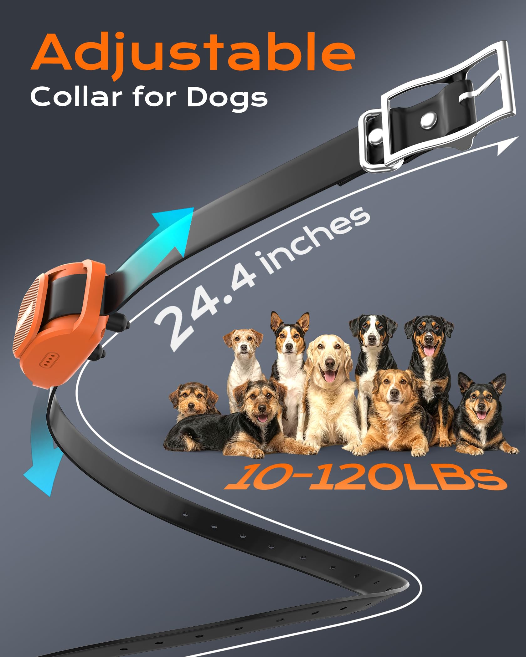 Jugbow Dog Shock Collar- 4200FT Dog Training Collar with Remote for 10-120lbs Small Medium Large Dog, IPX8-Waterproof Rechargeable E-Collar with LED Light - image 5