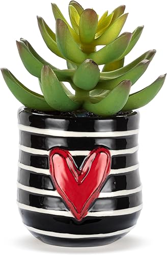 Vista 13 de DEMDACO Heartful Home by Tracy Pesche Collection Mini suculentas falsas corazones rojos lunares negros 2 x 1.5 gres decorativo para decoración