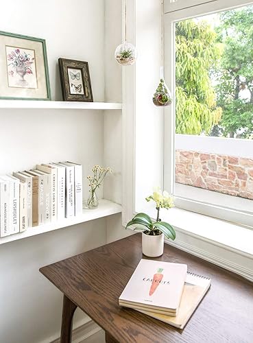 Miniatura 3 de Mkono Paquete de 2 macetas colgantes de vidrio para helechos de aire, jarrón colgante de plantas de terrario, decoración de Navidad, idea de regalo