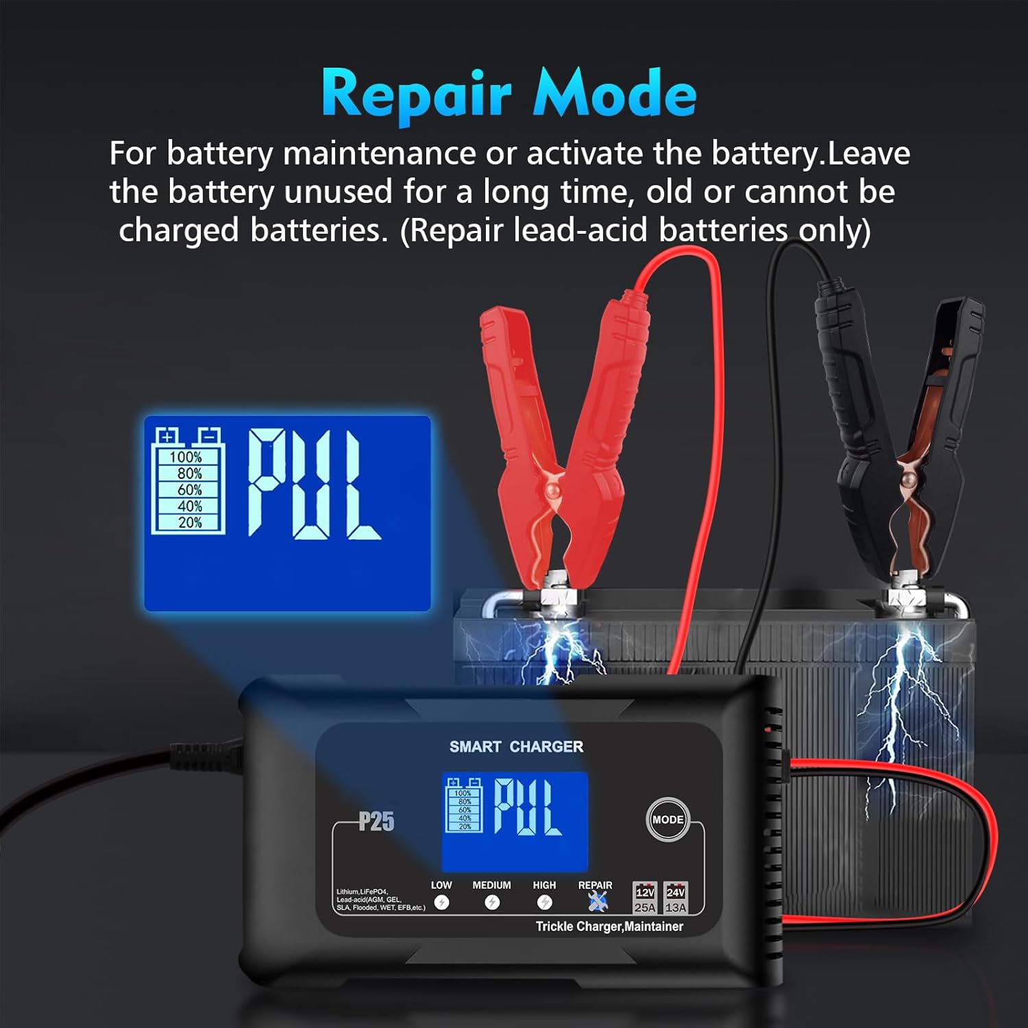 Battery Charger 0-25A,12V&24V LiFePO4 Battery Charger for Lithium,Lead Acid,AGM,RV,Marine,Boat, and Deep Cycle Batteries,9 Stage with Pulse Repair,Smart Car Trickle Charger & Maintainer