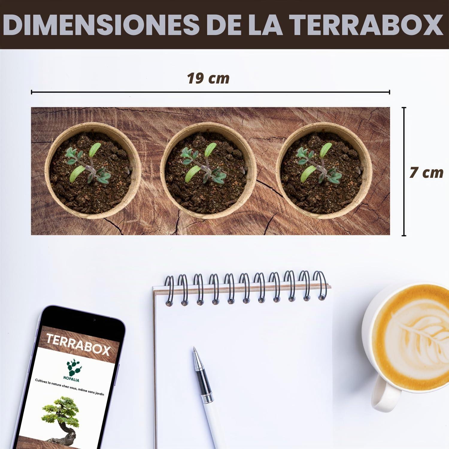 NOPALIA® Kit Bonsái 3 Especies Bio Listo para Crecer con Herramientas Pro (Pinza, Tijeras, Pipeta), Macetas, Tierra y Base Innovadora - Garantía 95% Germinación - Idea de Regalo Zen Navidad Fabricado