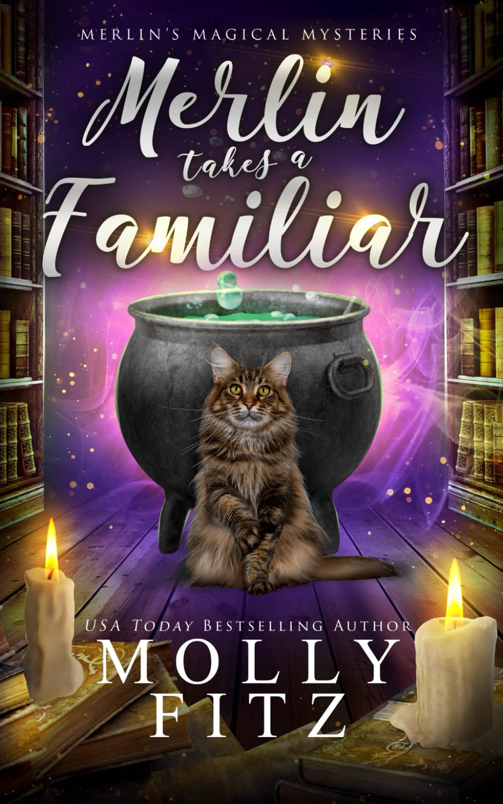 Merlin Takes a Familiar (Merlin's Magical Mysteries)