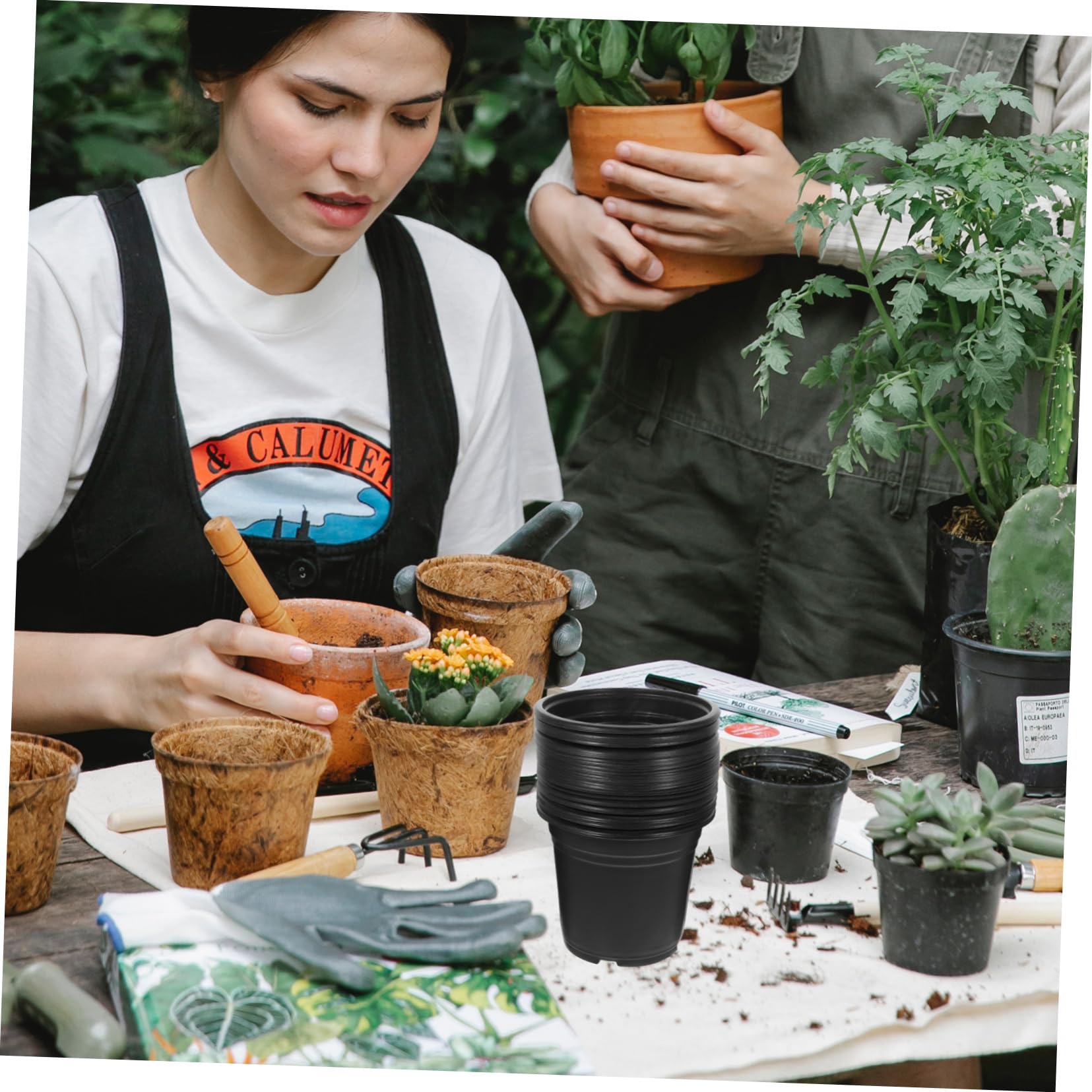 Abaodam Pots de Semis en Plastique Noir 50 Pièces pour Plantes Succulentes Jardin Extérieur Pot de Pépinière Trou Drainage Léger et Réutilisable