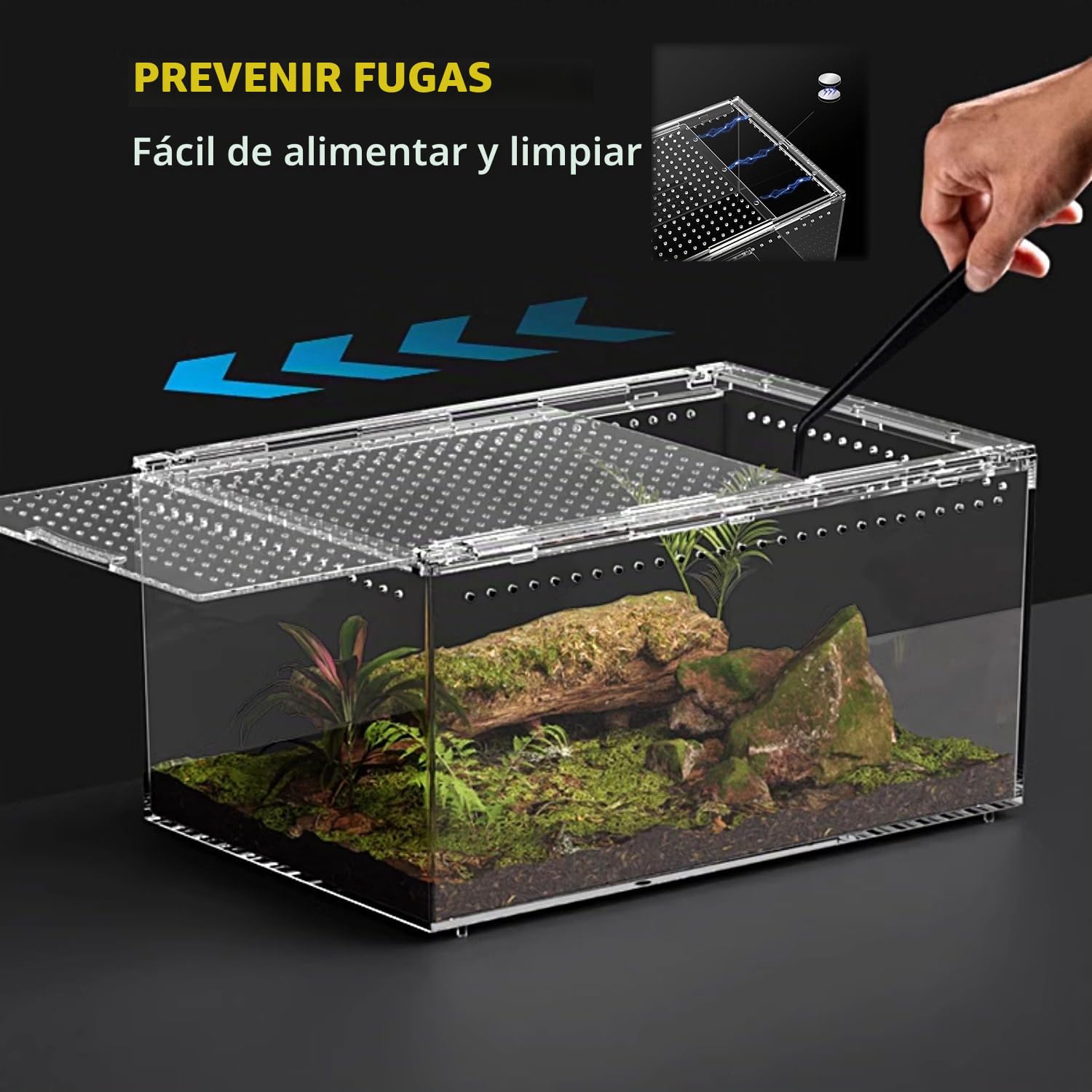 Terrario para Reptiles PC, Recinto para Tarántulas, Tanque para Arañas con Botón Magnético. Terrario para Lagartos de 30x20x15 cm, Tanque de Cría de Reptiles para Insectos, Peces, Cangrejos Ermitaños