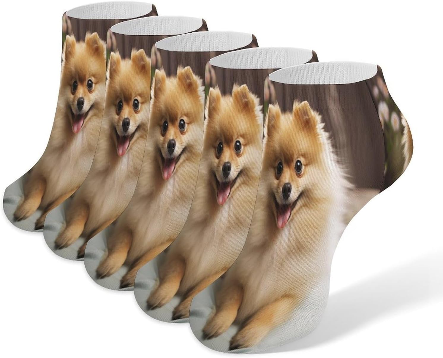 Women's Thin Elastic Socks Low-top Sports Invisible Cute Pomeranian Dog Printed Ankle Socks 5 Pairs Suitable for Travel Commuting Outdoor