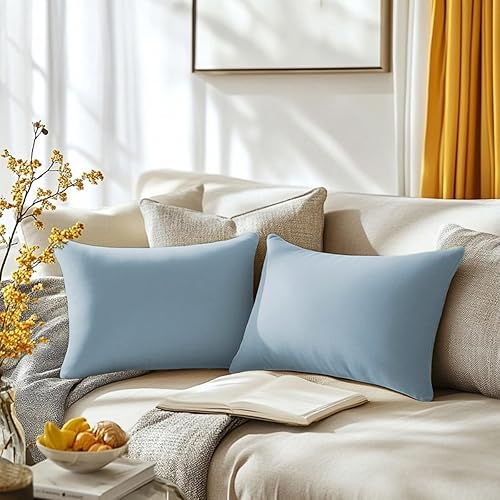 QUORGVES Light Blue Velvet Pillow Covers 12x20 Inch Set of