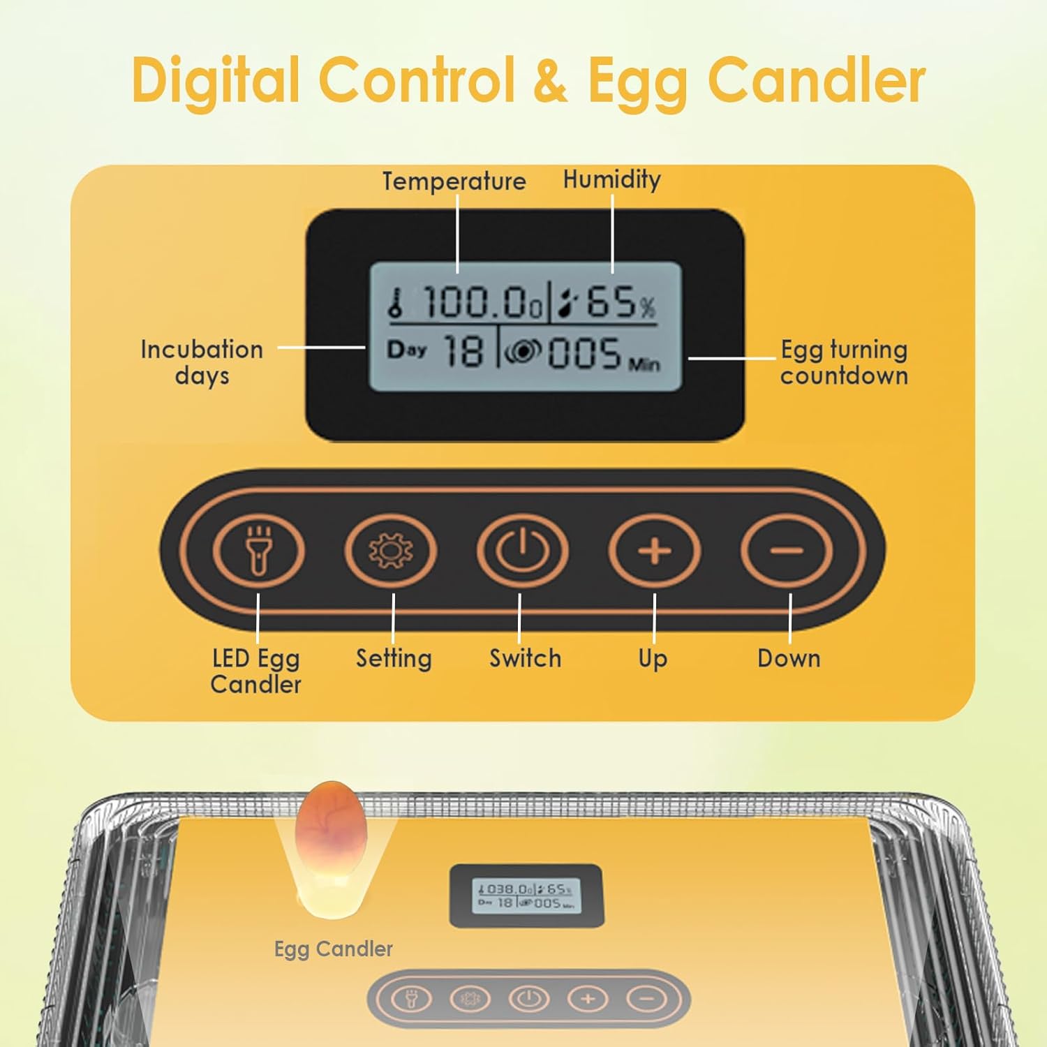 Devopet 25 Eggs Incubator - Image 3