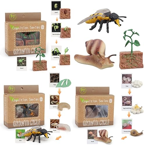 Montessori - Figuras de animales de ciclo de vida con tarjetas flash, figuras de animales realistas y juego educativo a juego para niños (plantas,