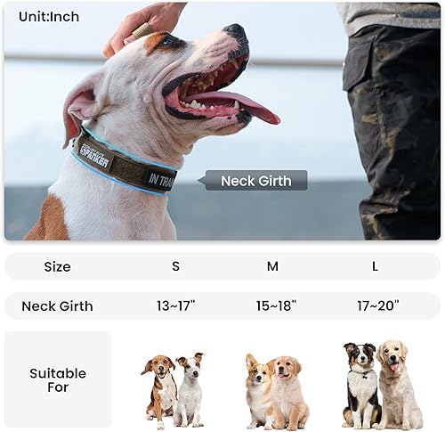Miniatura 2 de EXCELLENT ELITE SPANKER Collar de perro de nailon ajustable para perros pequeños, collar acolchado suave para perros pequeños