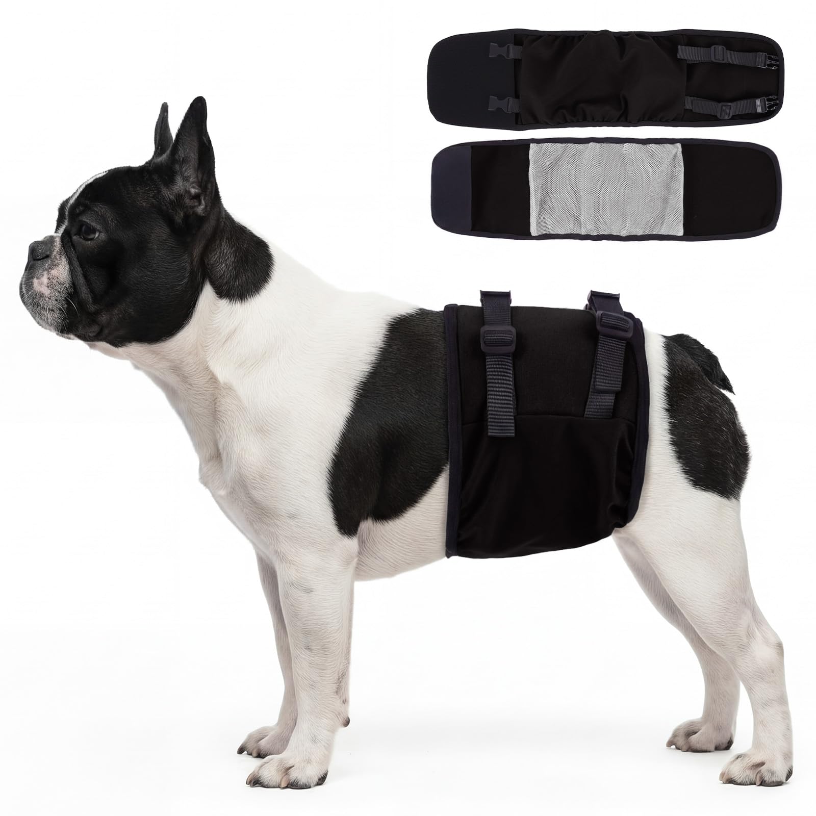 Couche pour chien mâle pour protéger la maison des fuites et du marquage