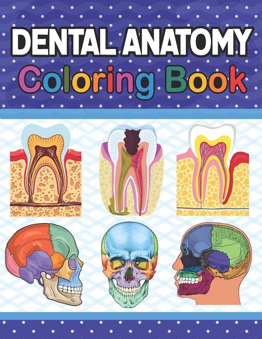Dental Anatomy Coloring Book: Incredibly Detailed Self-Test Dental Anatomy Coloring Book for Dental Anatomy Students & Dentists | Dental Anatomy self ... Dental Assisting & Hygienist Coloring Book